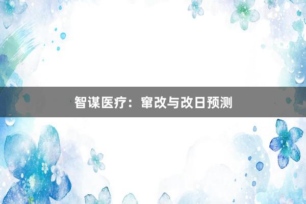 智谋医疗：窜改与改日预测