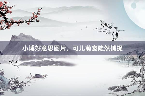 小博好意思图片，可儿萌宠陡然捕捉